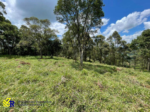 Imagem Chácara à Venda, 41 m² em Pitangueiras - Pedra Bela