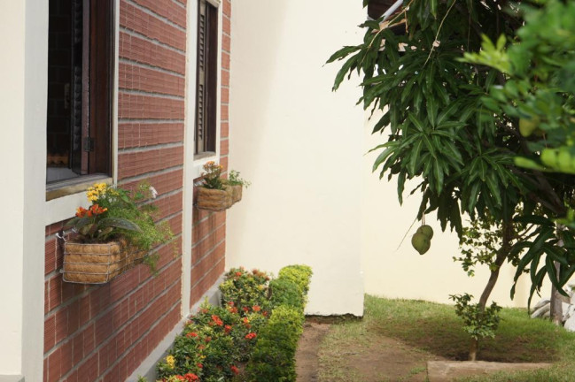 Imagem Casa com 3 Quartos para Alugar, 150 m² em Divisa De Carneiros - Tamandaré