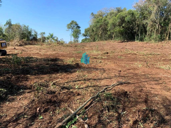 Imagem Terreno à Venda, 23.567 m² em Linha Liberdade - Pinto Bandeira