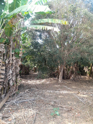 Imagem Chácara com 2 Quartos à Venda, 5.500 m² em Vila Saltinho - Campinas