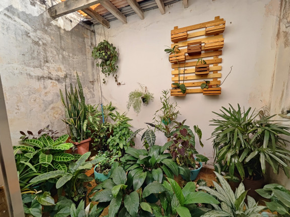 Imagem Casa com 3 Quartos à Venda, 225 m² em Assunção - São Bernardo Do Campo Imagem Casa com 3 Quartos à Venda, 225 m² em Assunção - São Bernardo Do Campo