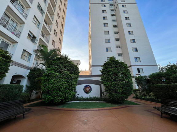 Imagem Apartamento com 4 Quartos à Venda, 62 m² em Vila Santa Catarina - São Paulo Imagem Apartamento com 4 Quartos à Venda, 62 m² em Vila Santa Catarina - São Paulo