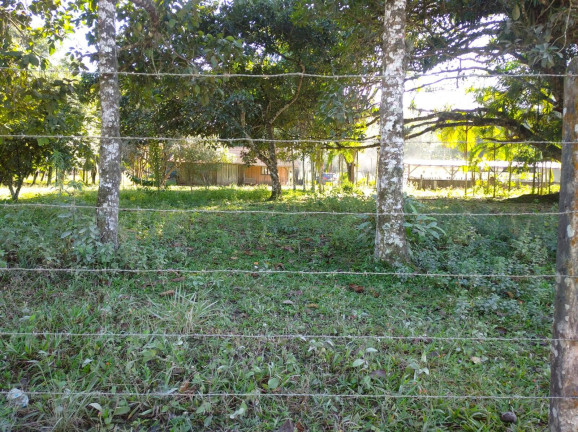 Imagem Terreno à Venda, 39 m² em Volta Redonda - Araquari Imagem Terreno à Venda, 39 m² em Volta Redonda - Araquari