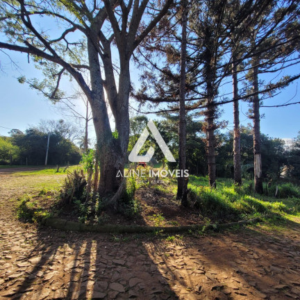 Terreno à Venda,  em Santo Antão - Cruz Alta