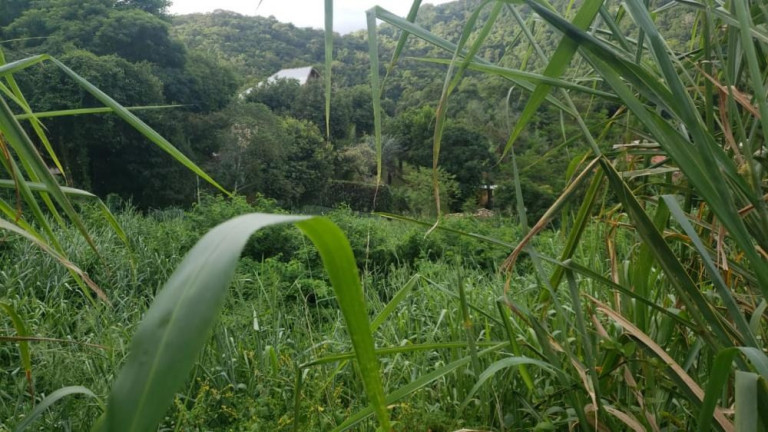 Imagem Imóvel à Venda, 315 m² em Guaratiba - Rio De Janeiro