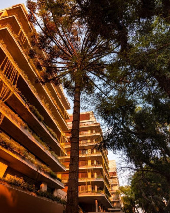 Imagem Apartamento com 4 Quartos à Venda, 459 m² em Cabral - Curitiba