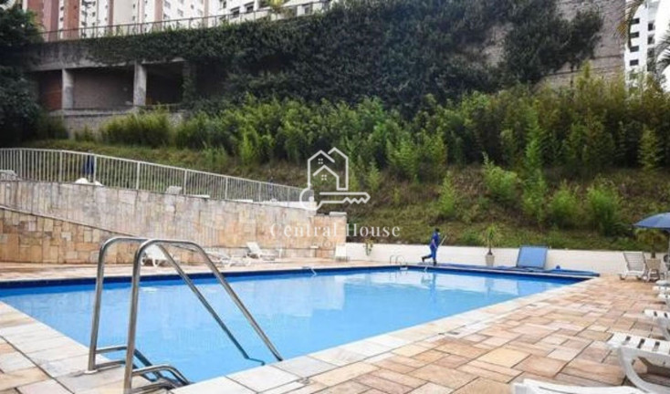 Imagem Apartamento com 3 Quartos para Alugar, 75 m² em Vila Suzana - São Paulo Imagem Apartamento com 3 Quartos para Alugar, 75 m² em Vila Suzana - São Paulo