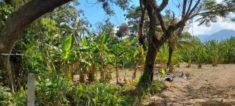Imagem Imóvel com 4 Quartos à Venda, 2.100 m² em Santa Cândida - Itaguaí