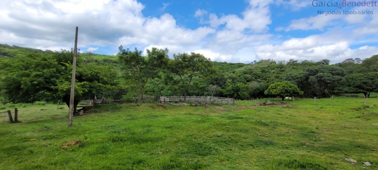 Imagem Imóvel à Venda, 290.400 m² em Amizade - Jandaia Do Sul Imagem Imóvel à Venda, 290.400 m² em Amizade - Jandaia Do Sul