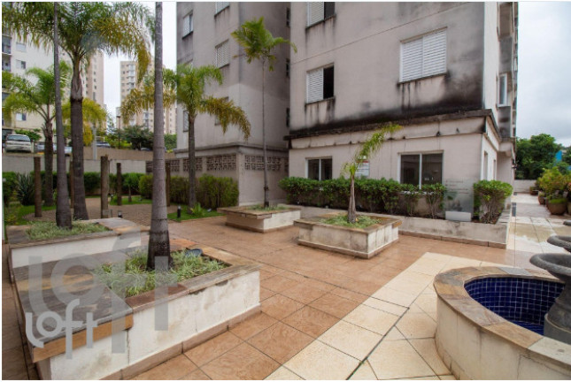 Imagem Apartamento com 3 Quartos à Venda, 67 m² em Jardim Celeste - São Paulo Imagem Apartamento com 3 Quartos à Venda, 67 m² em Jardim Celeste - São Paulo