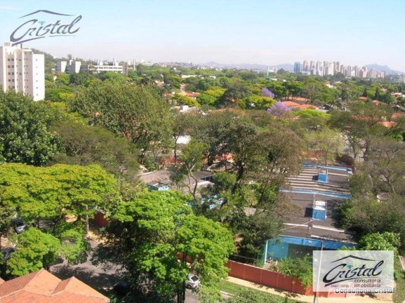 Imagem Imóvel com 3 Quartos à Venda, 820 m² em Butantã - São Paulo Imagem Imóvel com 3 Quartos à Venda, 820 m² em Butantã - São Paulo