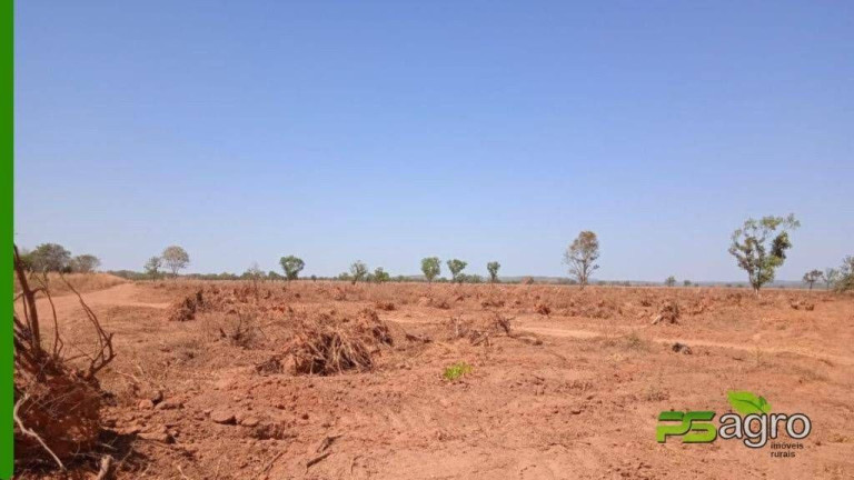 Imagem Fazenda à Venda, 347.500 m² em Jardim Santa Bárbara - Palmas Imagem Fazenda à Venda, 347.500 m² em Jardim Santa Bárbara - Palmas