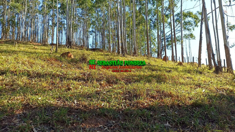 Imagem Chácara à Venda, 2 m² em Centro - Paraibuna Imagem Chácara à Venda, 2 m² em Centro - Paraibuna