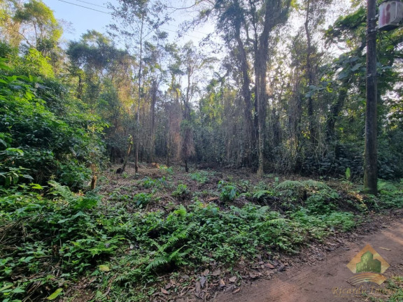 Imagem Terreno à Venda, 7.500 m² em Horto Florestal - Ubatuba