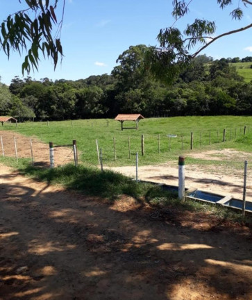 Imagem Fazenda à Venda, 124 m² em Rural - Itapetininga Imagem Fazenda à Venda, 124 m² em Rural - Itapetininga