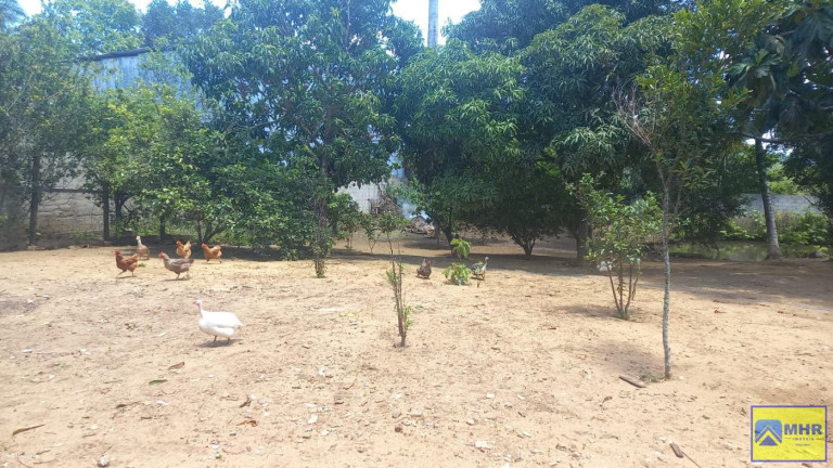 Imagem Chácara à Venda, 2.900 m² em Serramar/ Nova Almeida - Serra Imagem Chácara à Venda, 2.900 m² em Serramar/ Nova Almeida - Serra