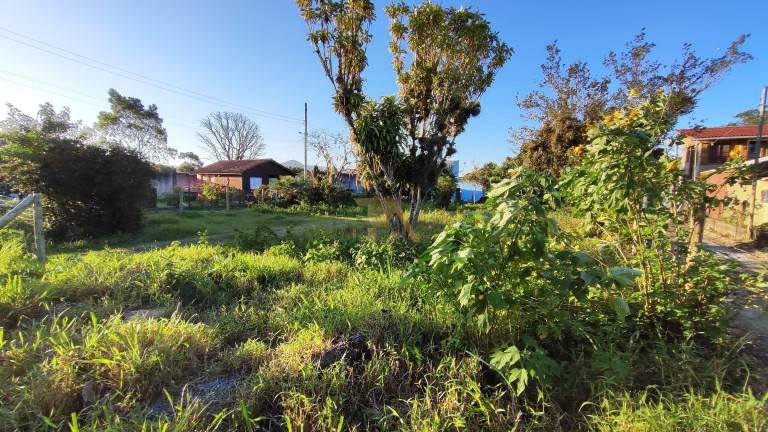 Imagem Terreno à Venda, em Araçatuba - Imbituba Imagem Terreno à Venda, em Araçatuba - Imbituba