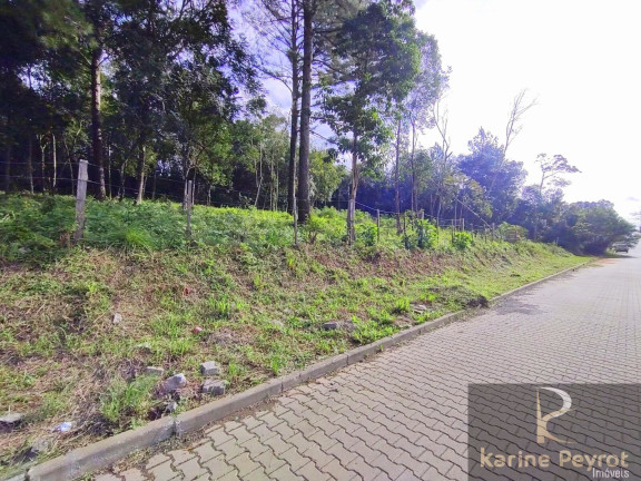 Imagem Terreno à Venda, 300 m² em Campestre - São Leopoldo Imagem Terreno à Venda, 300 m² em Campestre - São Leopoldo