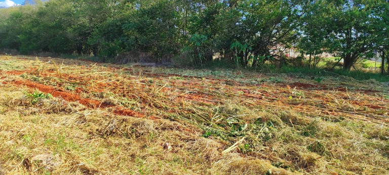 Imagem Terreno à Venda, 150 m² em Vila Asem - Itapetininga Imagem Terreno à Venda, 150 m² em Vila Asem - Itapetininga