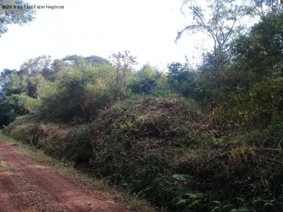 Imagem Terreno à Venda, 6 m² em Linha Temerária - Nova Petrópolis