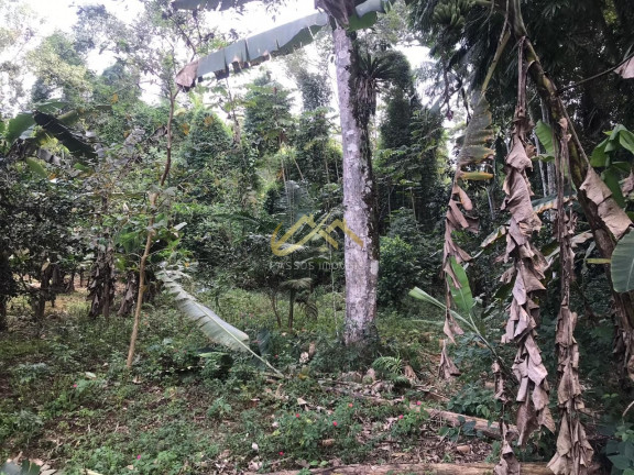 Imagem Terreno à Venda, 32 m² em Horto Florestal - Ubatuba