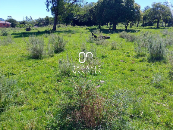 Terreno à Venda, 5 m² em Pinheiro Machado - Santa Maria