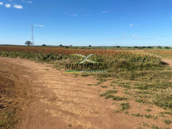 Imagem Fazenda à Venda, 372 m² em Conceição Das Alagoas Imagem Fazenda à Venda, 372 m² em Conceição Das Alagoas