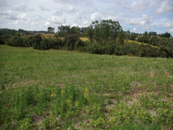 Imagem Imóvel à Venda, 435.600 m² em Zona Rural - Jacui Imagem Imóvel à Venda, 435.600 m² em Zona Rural - Jacui