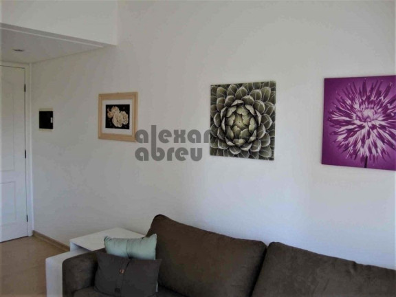 Imagem Apartamento com 1 Quarto para Alugar, 35 m² em Vila Suzana - São Paulo Imagem Apartamento com 1 Quarto para Alugar, 35 m² em Vila Suzana - São Paulo