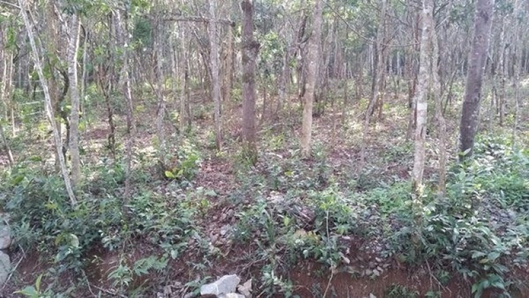 Imagem Terreno à Venda, 450 m² em Acuruí - Itabirito