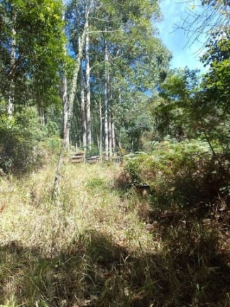 Imagem Terreno à Venda, 1.200 m² em Centro - Mairiporã Imagem Terreno à Venda, 1.200 m² em Centro - Mairiporã