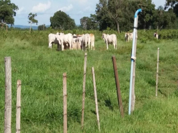 Imagem Fazenda à Venda, 3.700.000 m² em Zona Rural - Acorizal