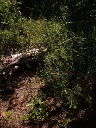 Imagem Terreno à Venda, 950 m² em Gamboa - Vera Cruz Imagem Terreno à Venda, 950 m² em Gamboa - Vera Cruz