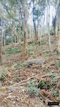 Imagem Terreno à Venda, 1.085 m² em Jundiaizinho (terra Preta) - Mairiporã