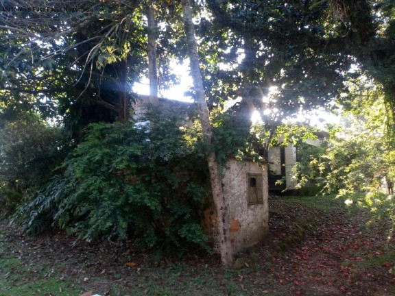 Imagem Terreno à Venda, 1.452 m² em Logradouro - Nova Petrópolis Imagem Terreno à Venda, 1.452 m² em Logradouro - Nova Petrópolis
