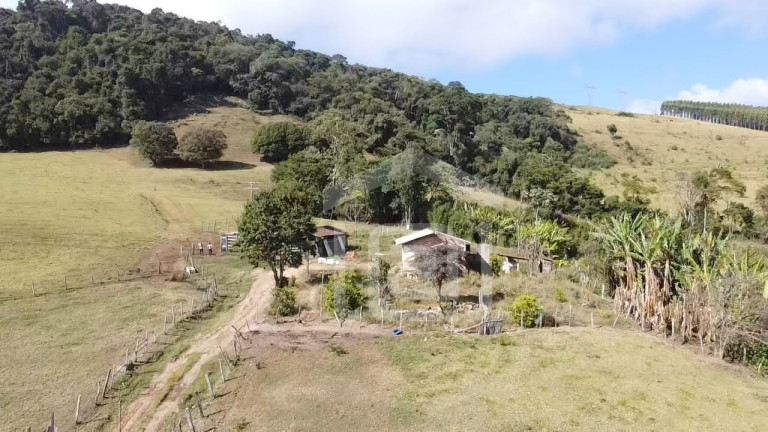 Imagem Imóvel à Venda, 7 m² em Campestrinho - Divinolândia Imagem Imóvel à Venda, 7 m² em Campestrinho - Divinolândia