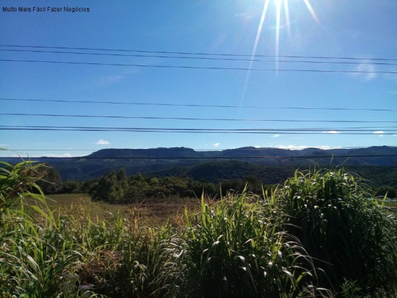 Imagem Terreno à Venda, 1 m² em Linha Araripe - Nova Petrópolis Imagem Terreno à Venda, 1 m² em Linha Araripe - Nova Petrópolis