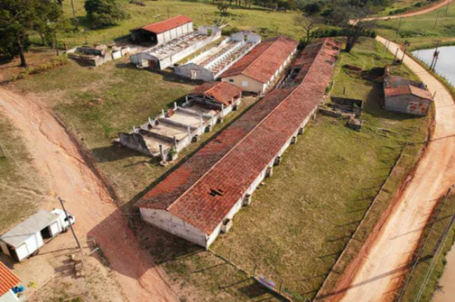 Imagem Imóvel com 7 Quartos à Venda, 3.150 m² em Jardim Paraíso Ii - Itu Imagem Imóvel com 7 Quartos à Venda, 3.150 m² em Jardim Paraíso Ii - Itu