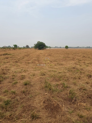 Imagem Imóvel com 3 Quartos à Venda, 83.400 m² em Centro - São Félix Do Araguaia Imagem Imóvel com 3 Quartos à Venda, 83.400 m² em Centro - São Félix Do Araguaia