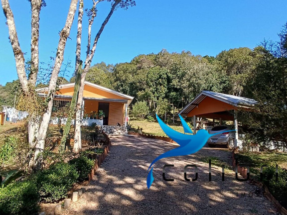 Imagem Chácara com 2 Quartos à Venda, 6.000 m² em Palmital - Agudos Do Sul