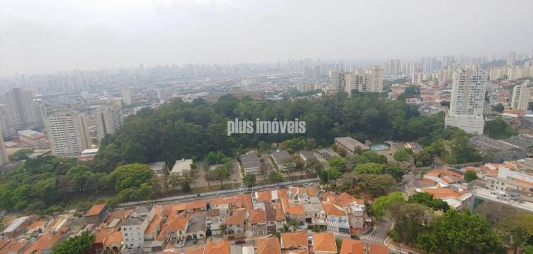 Imagem Apartamento com 2 Quartos à Venda, 105 m² em Cambuci - São Paulo