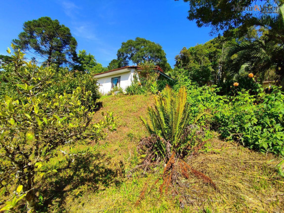 Imagem Chácara com 2 Quartos à Venda, 7.724 m² em Loteamento Chácara Chantecler - Piraquara Imagem Chácara com 2 Quartos à Venda, 7.724 m² em Loteamento Chácara Chantecler - Piraquara