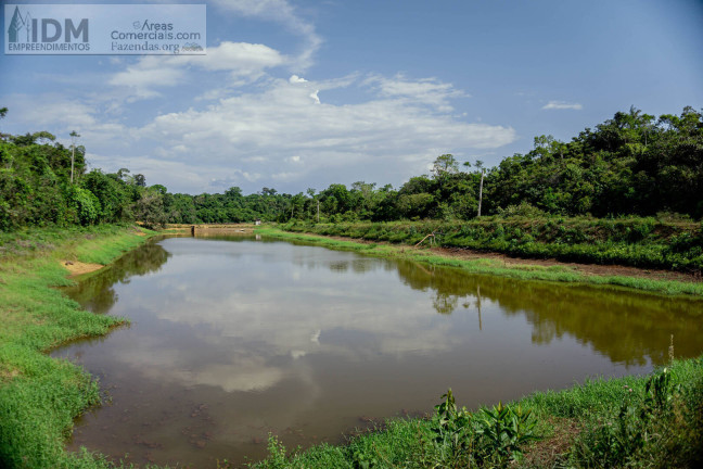 Imagem Chácara à Venda, 862.000 m² em Centro - Manaus Imagem Chácara à Venda, 862.000 m² em Centro - Manaus