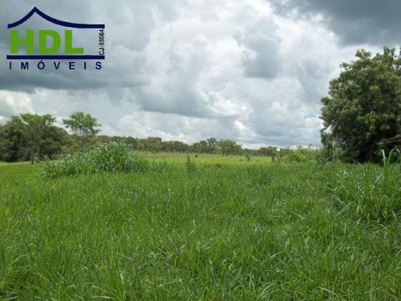 Imagem Chácara com 10 Quartos à Venda, 7 m² em Zona Rural - Hidrolândia