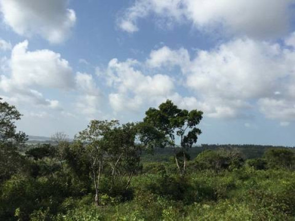 Imagem Terreno à Venda, 35 m² em Piau - Tibau Do Sul