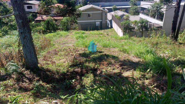 Imagem Terreno à Venda, 591 m² em Santo Antão - Bento Gonçalves Imagem Terreno à Venda, 591 m² em Santo Antão - Bento Gonçalves
