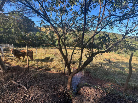 Imagem Chácara à Venda, 4 m² em Vieiras - Itatiaiuçu