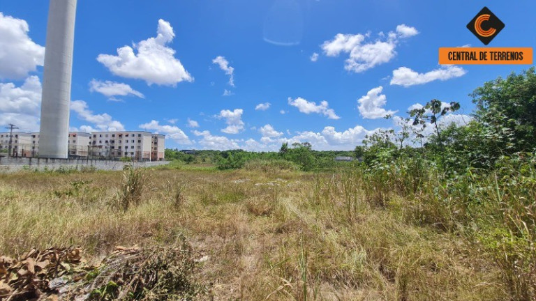 Imagem Terreno à Venda, 5.318 m² em Jardim Limoeiro - Camaçari Imagem Terreno à Venda, 5.318 m² em Jardim Limoeiro - Camaçari