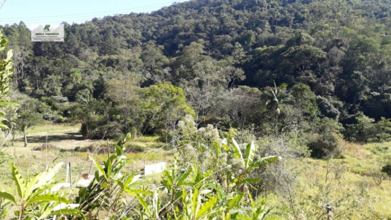 Imagem Terreno à Venda, 1.400 m² em Caete (mailasqui) - São Roque Imagem Terreno à Venda, 1.400 m² em Caete (mailasqui) - São Roque