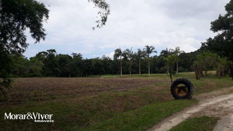 Imagem Chácara com 3 Quartos à Venda, 84.750 m² em Alexandra - Paranaguá